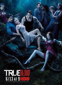 真爱如血 第三季,第三季：命运交织的生死恋曲