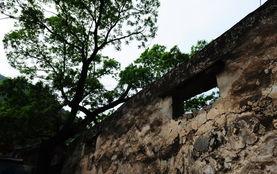 巨人村 第2张 巨人村 第2张