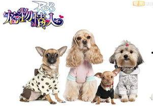 宠物情人,陪伴与成长的温馨故事  第2张