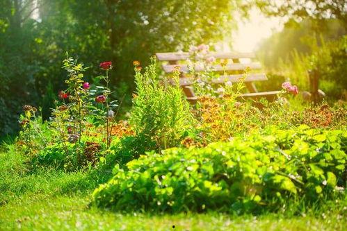 破镜重圆终有隙,揭秘修复关系中的微妙平衡  第2张