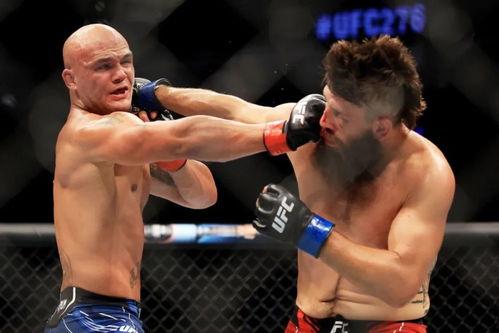 死无止境：阿根廷贵妇命案,揭秘阿根廷贵妇命案背后的惊悚真相