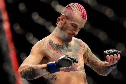 死无止境:阿根廷贵妇命案,揭秘阿根廷贵妇命案背后的惊悚真相 第2张 死无止境:阿根廷贵妇命案,揭秘阿根廷贵妇命案背后的惊悚真相 第2张