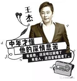 提高音量！我根本听不懂你在唱什么！！,歌词模糊不清，揭秘演唱会现场听歌难题  第2张