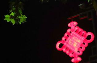 嘘，天黑请动手,暗流涌动的神秘行动